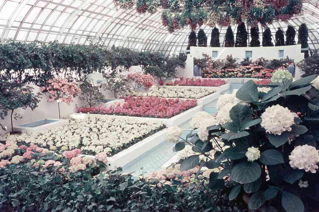 Spring Flower Show 1957