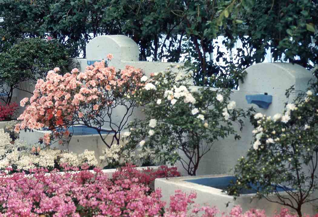 Spring Flower Show 1957