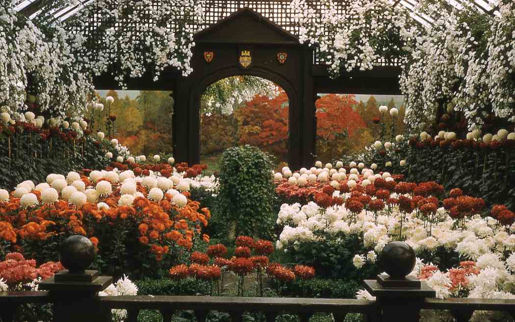 Fall Flower Show 1958