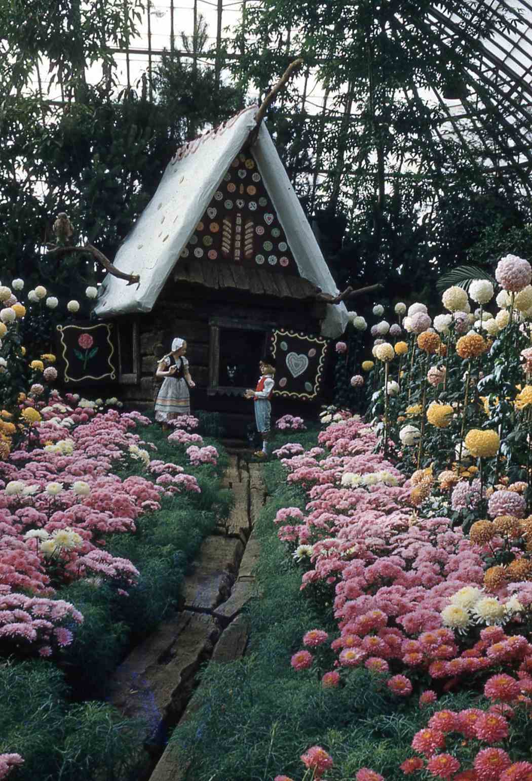 Fall Flower Show 1958