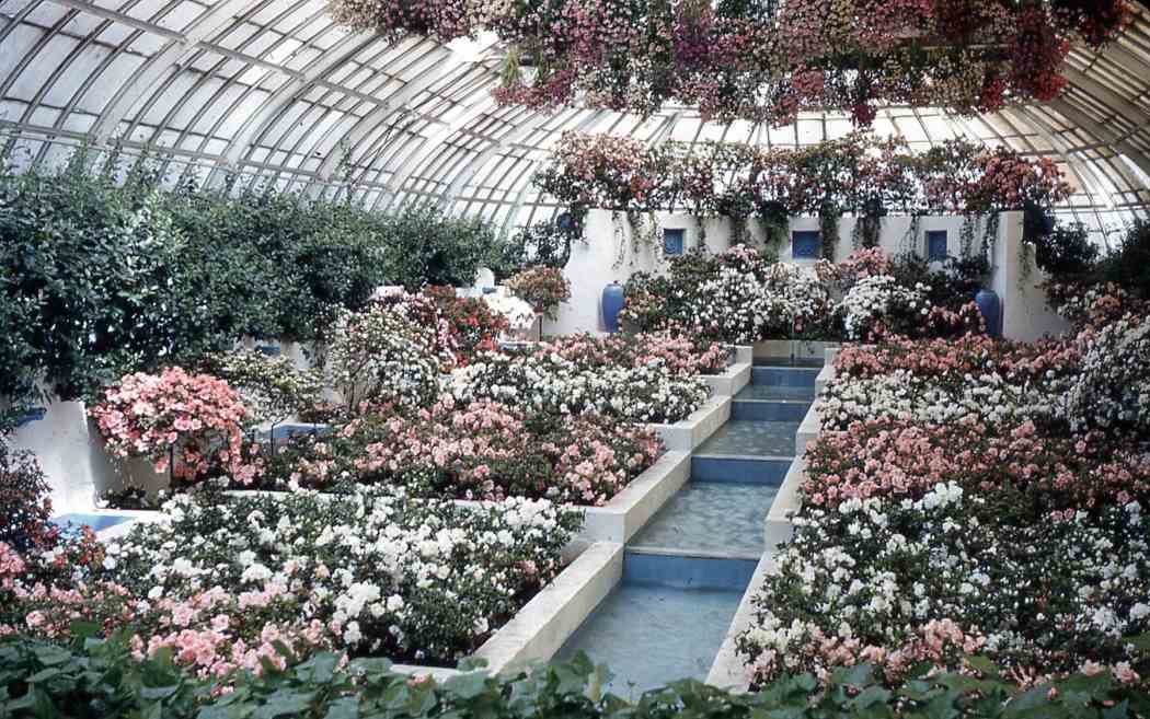 Spring Flower Show 1958