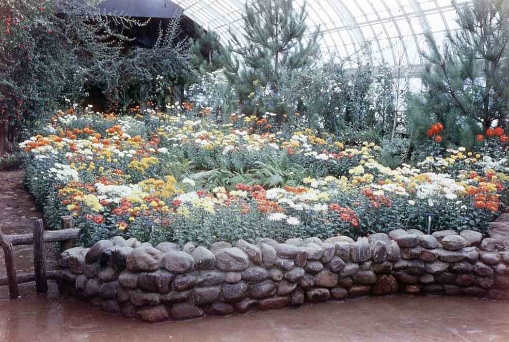 Fall Flower Show 1959