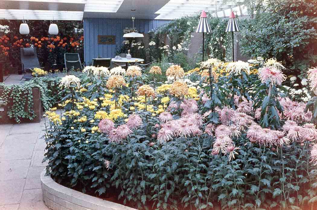 Fall Flower Show 1959