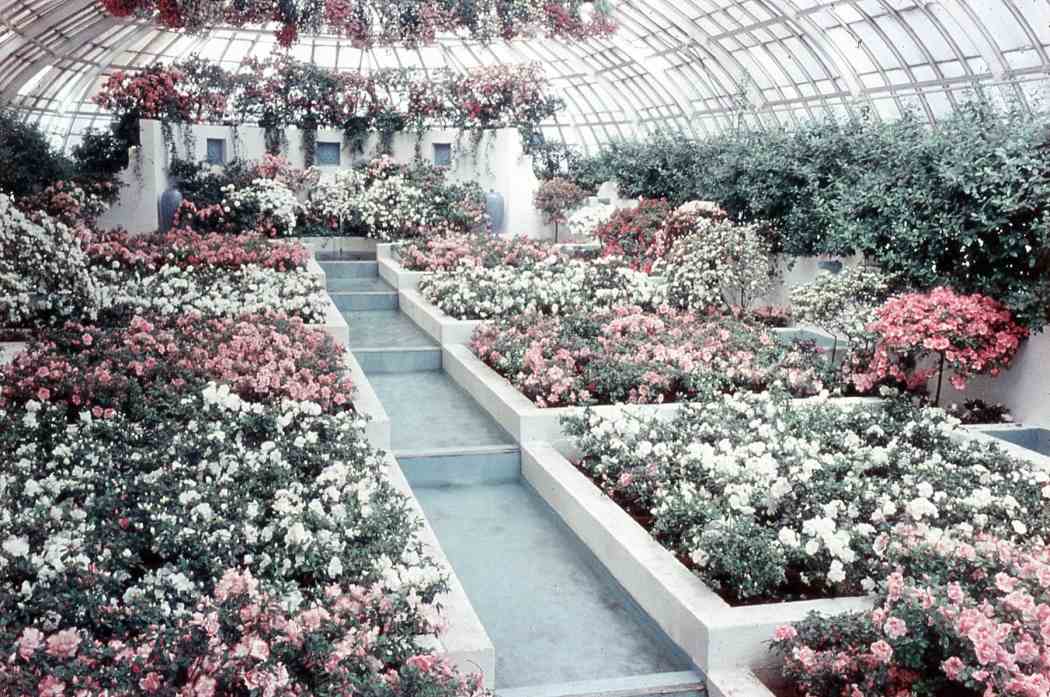 Spring Flower Show 1959