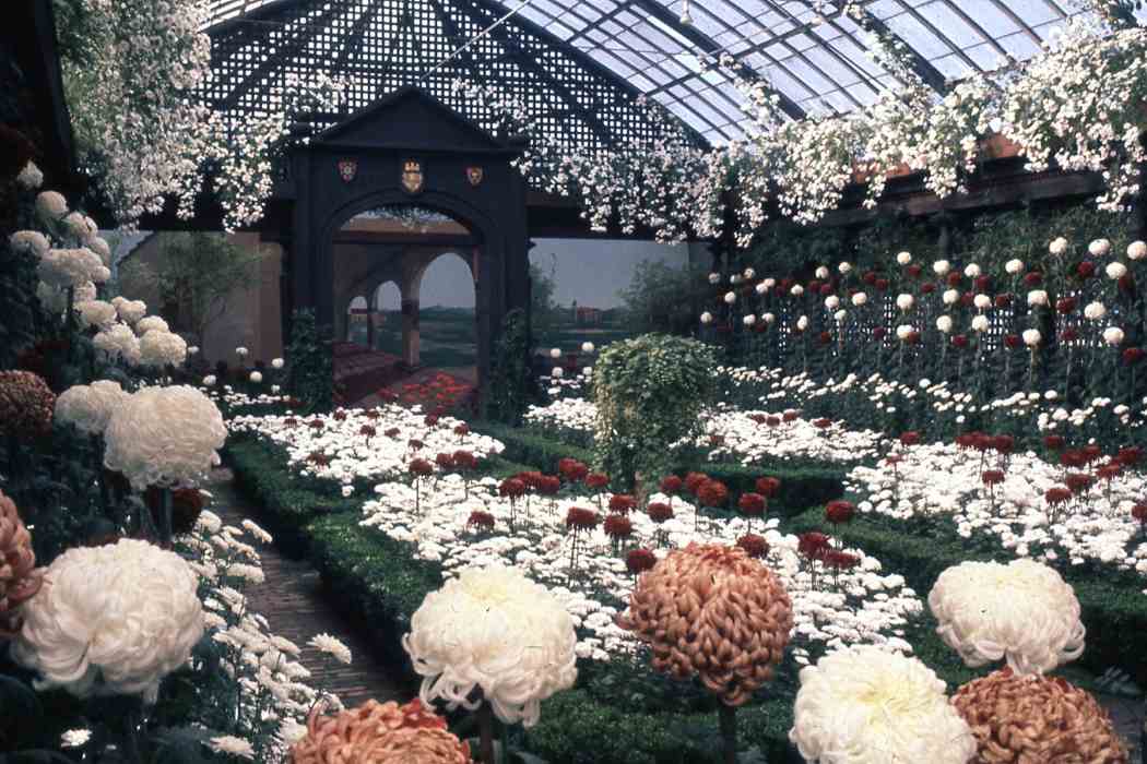 Fall Flower Show 1960