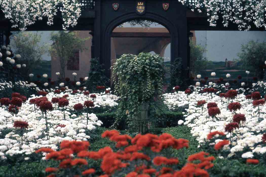 Fall Flower Show 1960