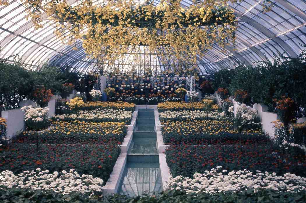 Fall Flower Show 1960