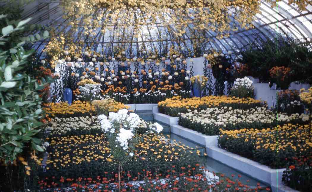 Fall Flower Show 1960