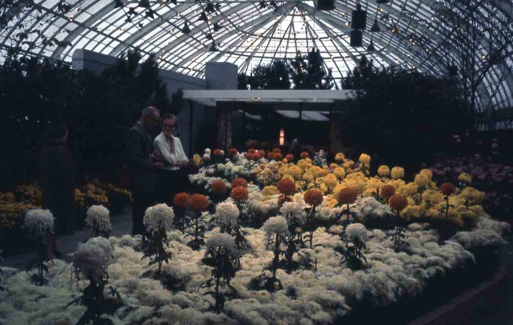 Fall Flower Show 1960