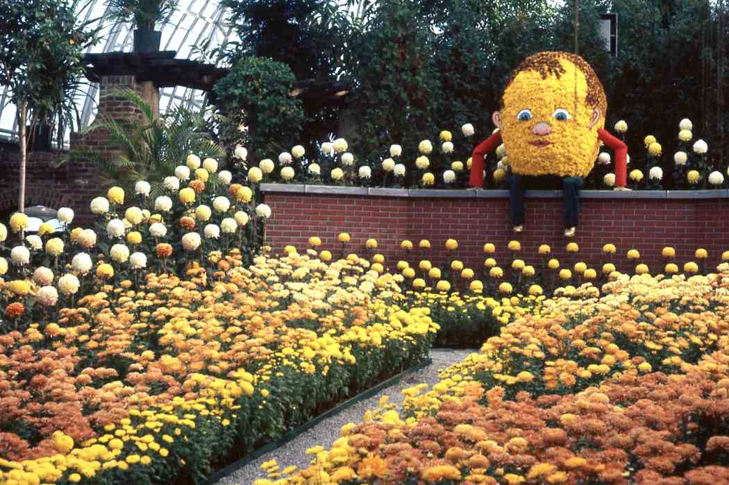 Fall Flower Show 1960