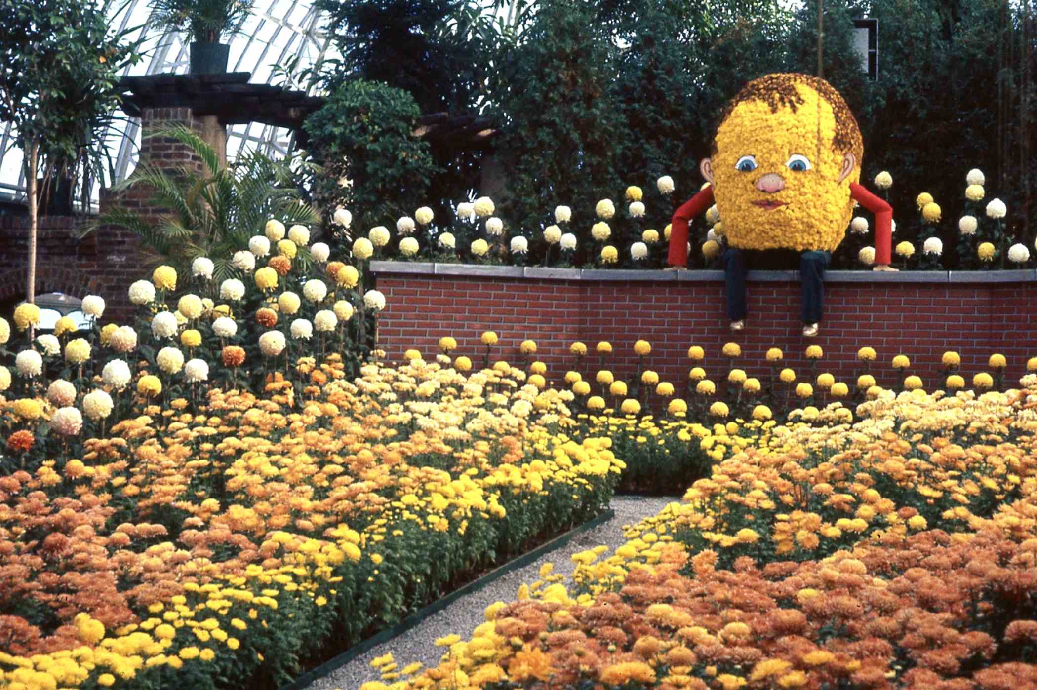 Fall Flower Show 1960 | Phipps Conservatory and Botanical Gardens