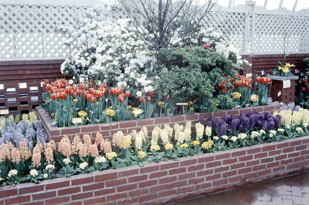 Spring Flower Show 1960