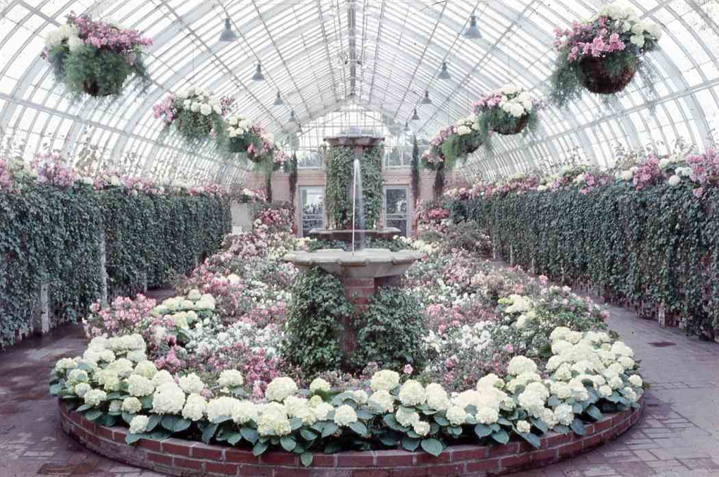 Spring Flower Show 1960