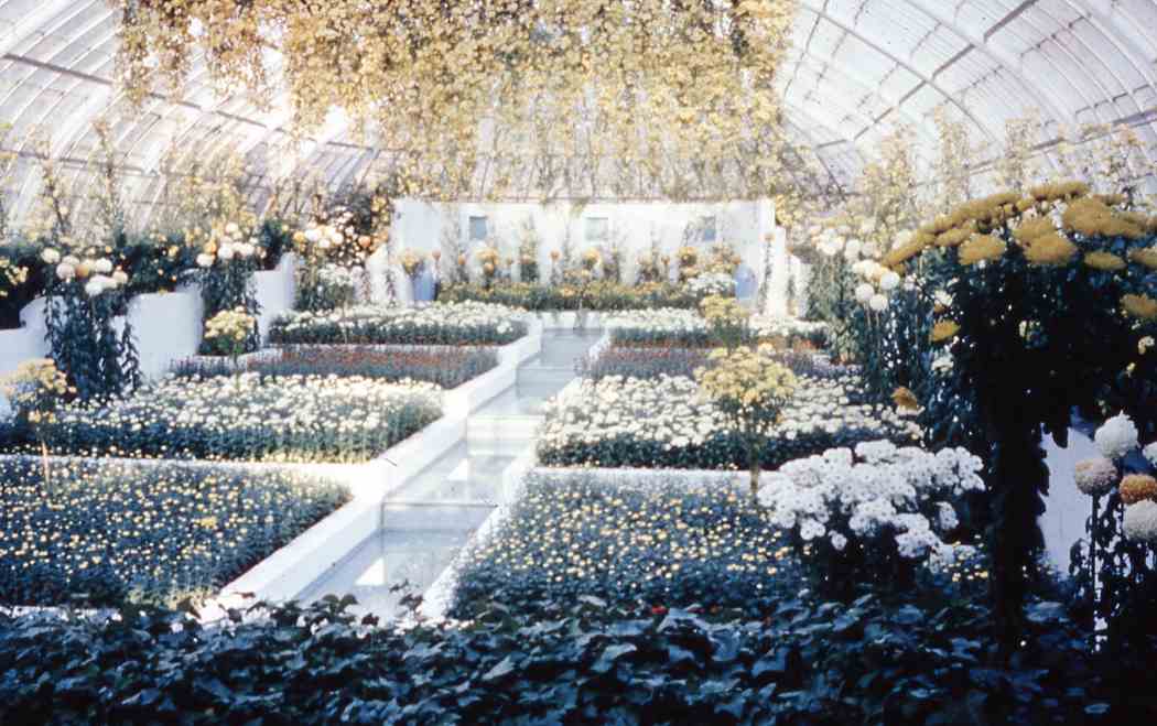 Fall Flower Show 1961