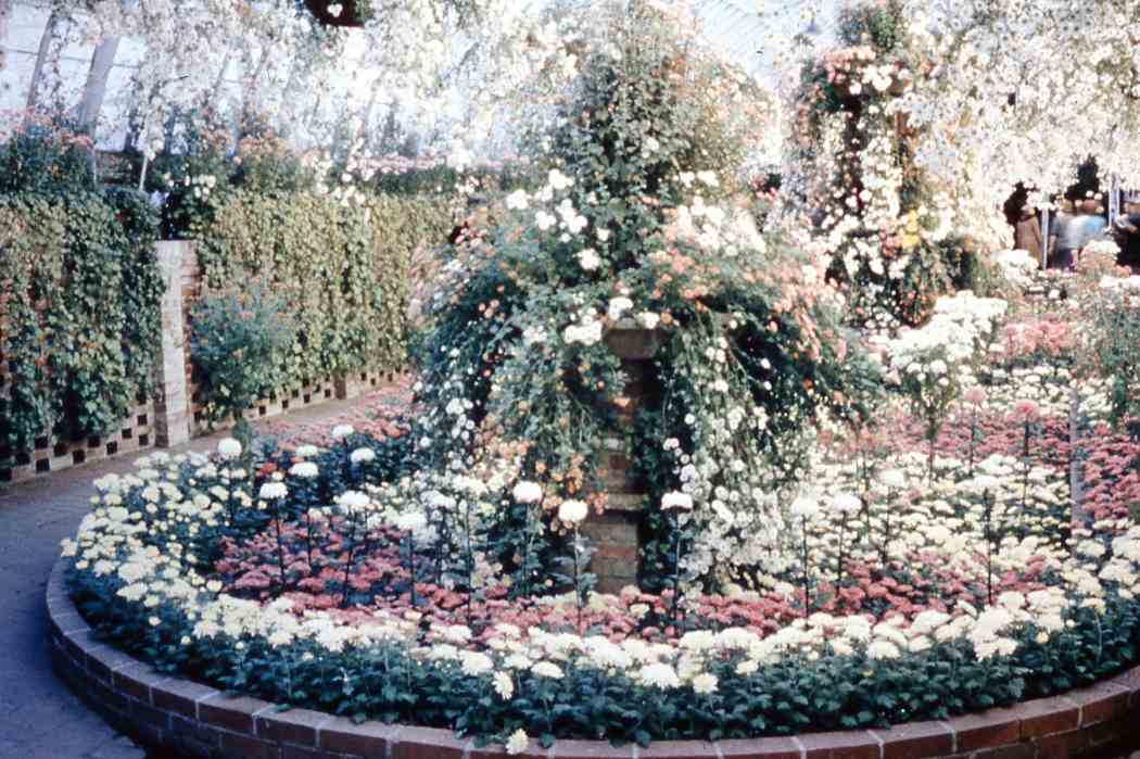 Fall Flower Show 1961