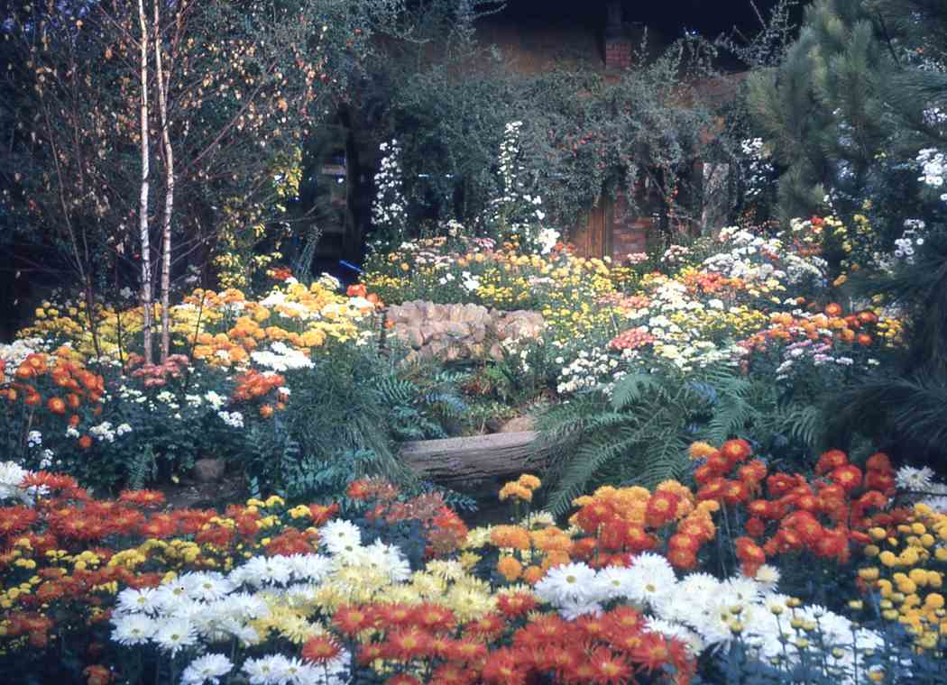 Spring Flower Show 1961