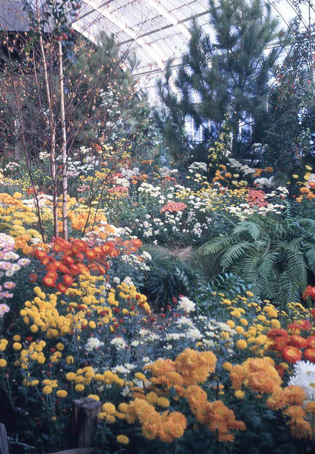 Spring Flower Show 1961