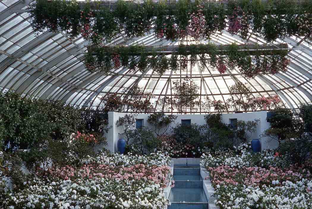 Spring Flower Show 1961