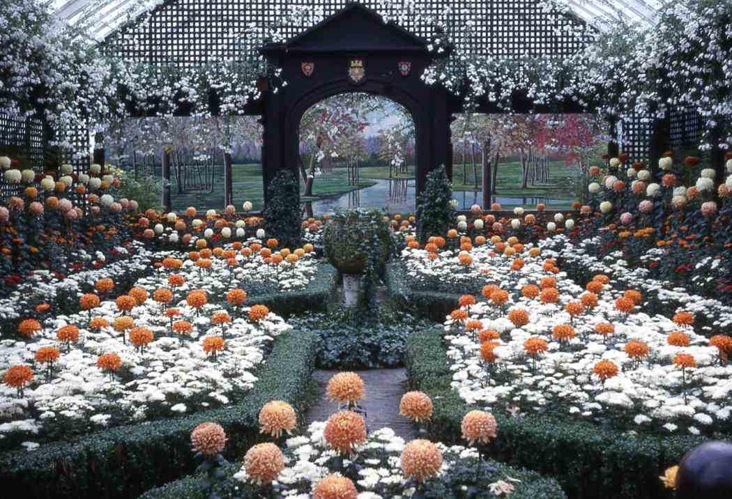 Fall Flower Show 1962