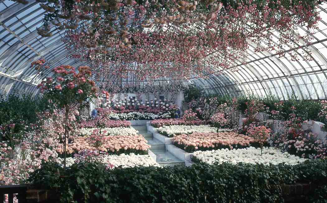 Fall Flower Show 1962