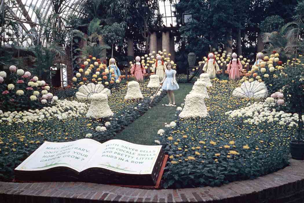 Fall Flower Show 1962