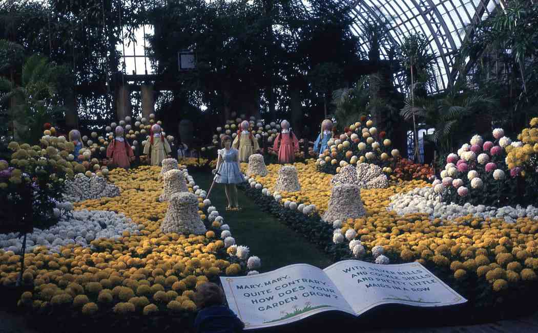 Fall Flower Show 1962