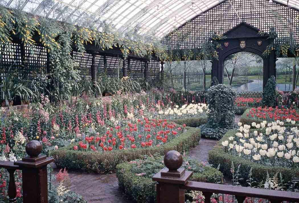 Spring Flower Show 1962