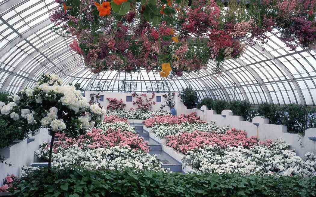 Spring Flower Show 1962