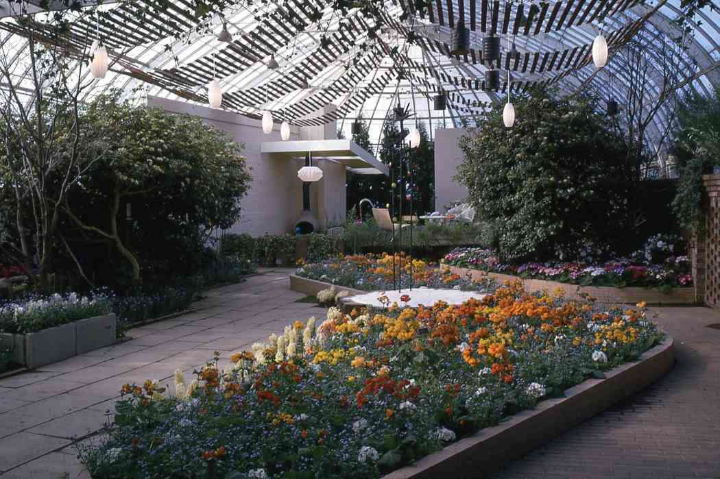 Spring Flower Show 1962