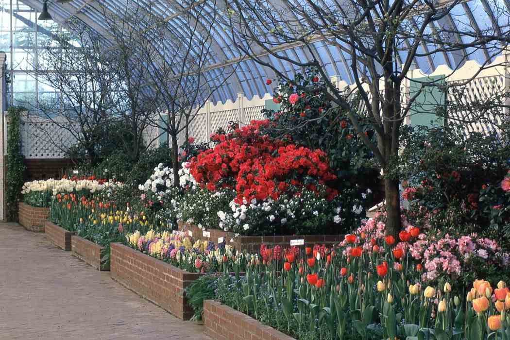 Spring Flower Show 1962