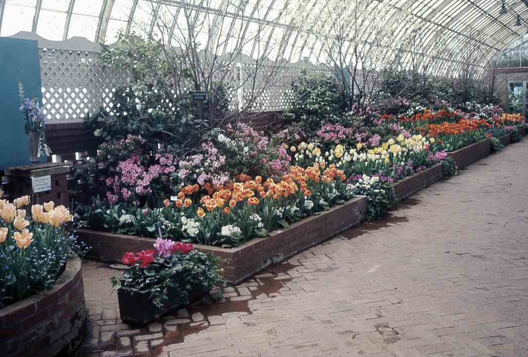 Spring Flower Show 1962