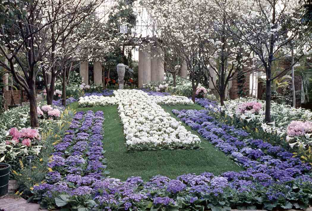 Spring Flower Show 1962