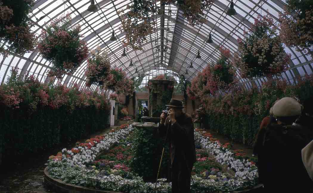 Spring Flower Show 1962