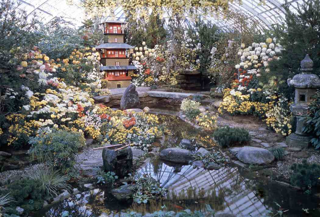 Fall Flower Show 1963