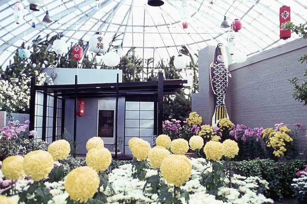 Fall Flower Show 1963