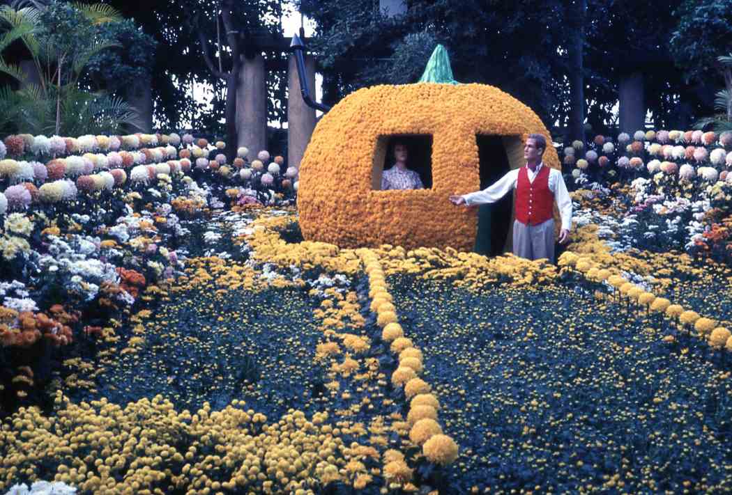 Fall Flower Show 1963