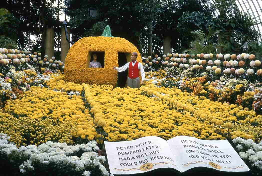 Fall Flower Show 1963