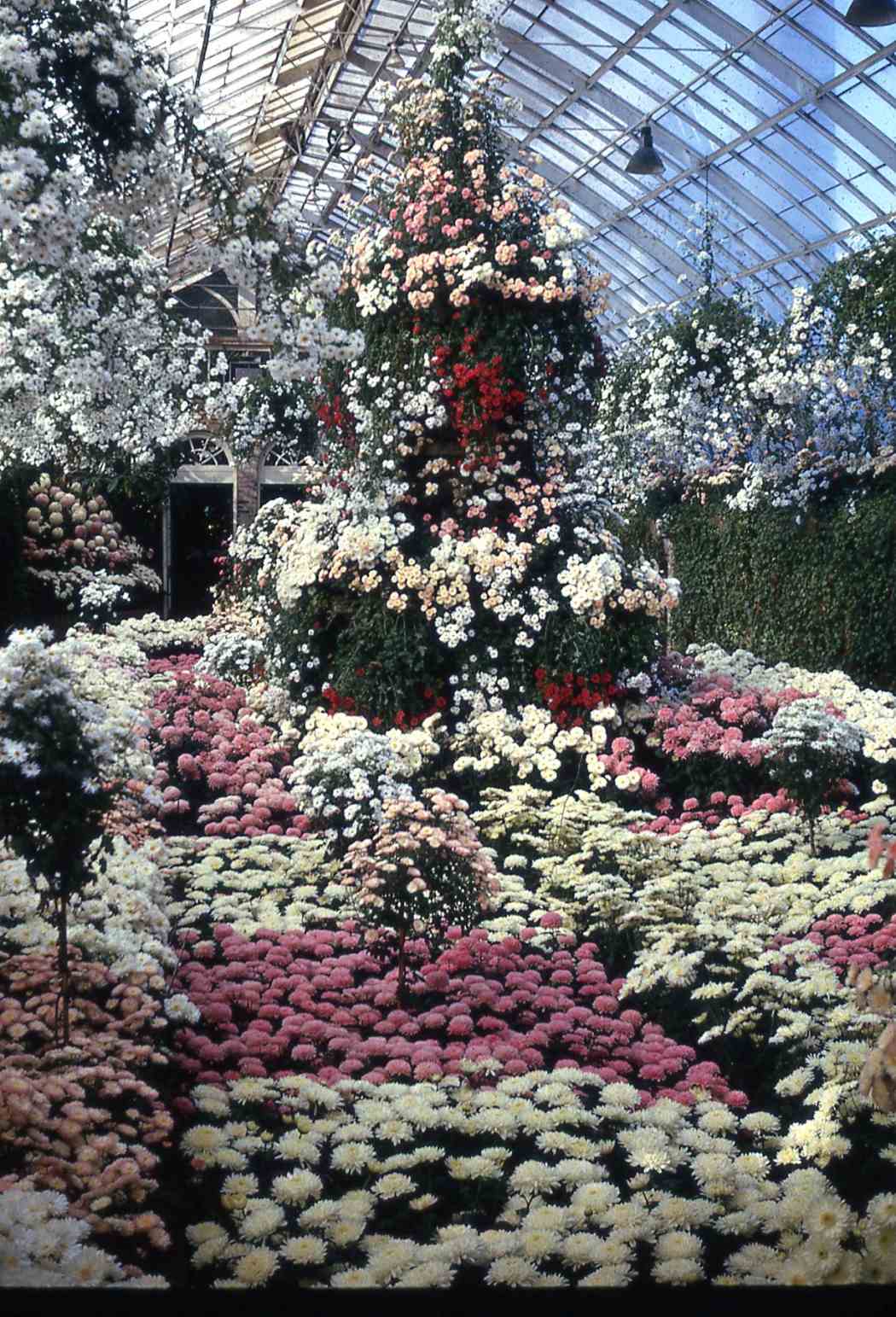 Fall Flower Show 1963