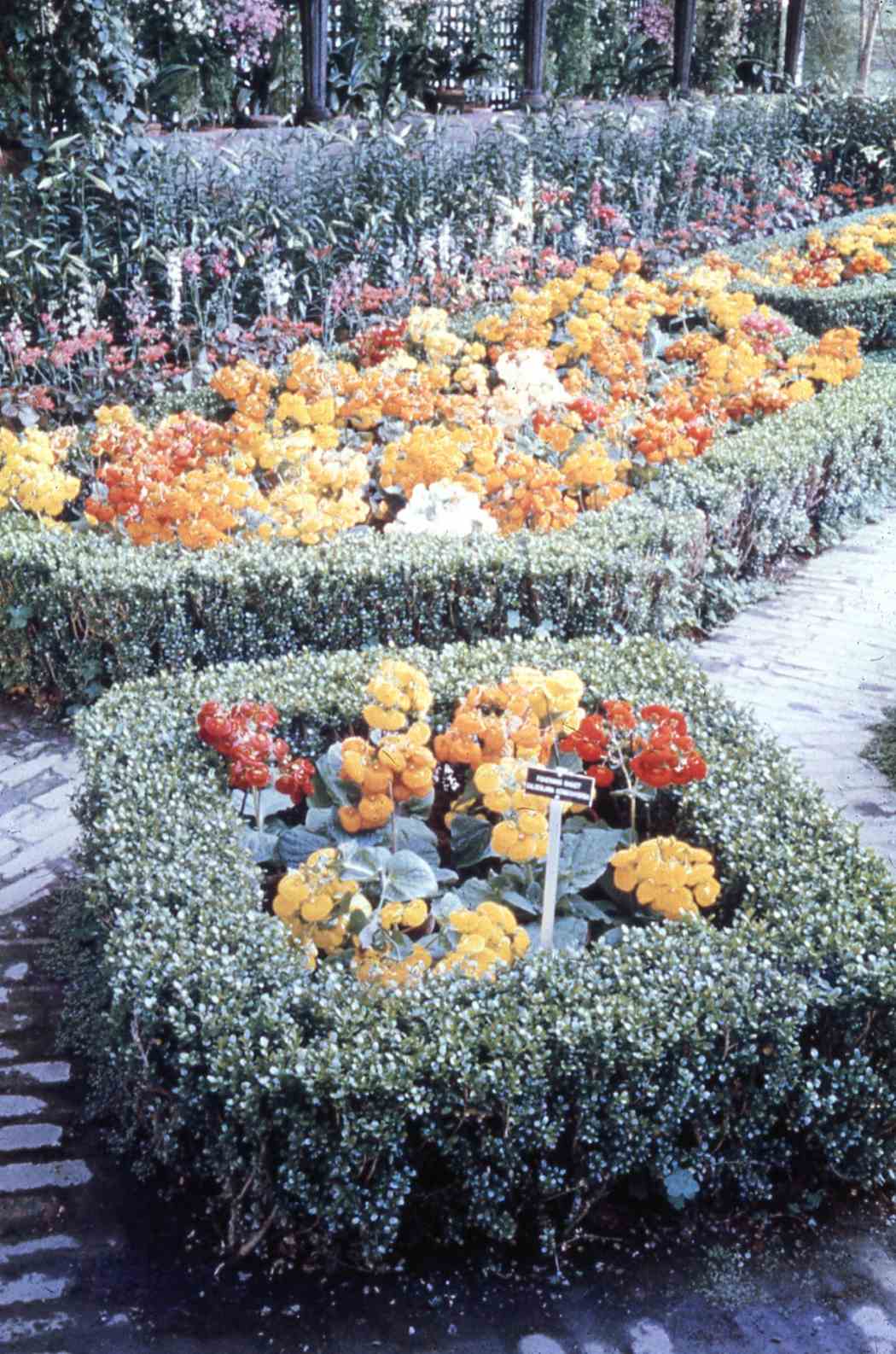 Spring Flower Show 1963