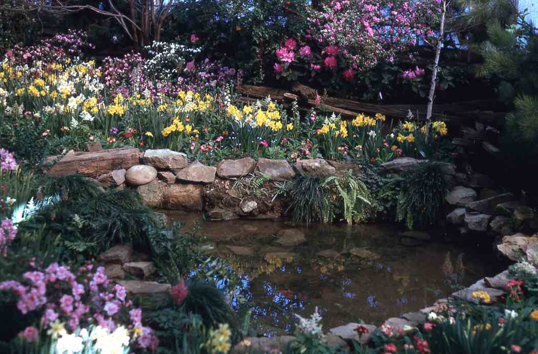 Spring Flower Show 1963