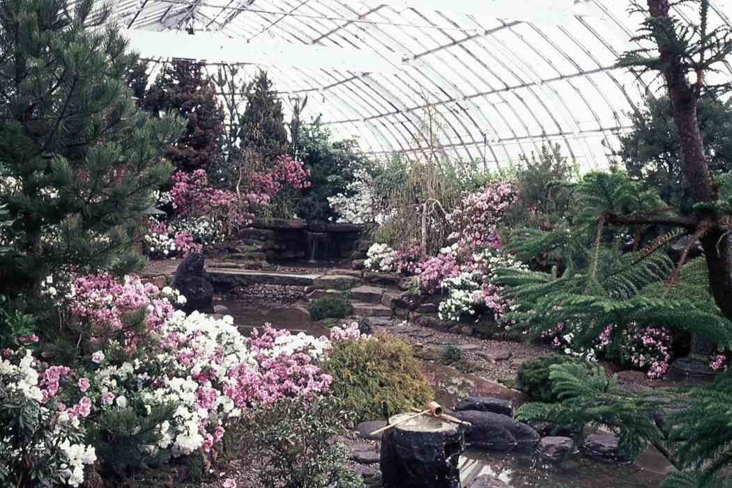 Spring Flower Show 1963