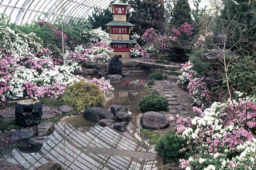 Spring Flower Show 1963