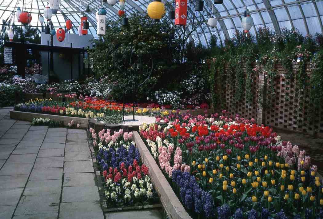 Spring Flower Show 1963