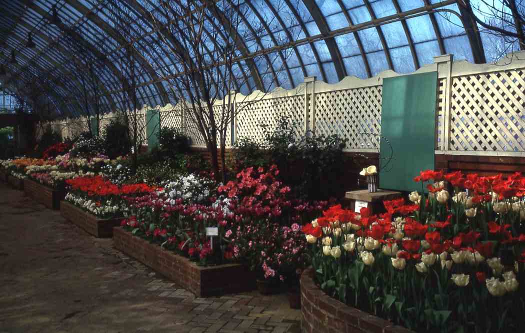 Spring Flower Show 1963