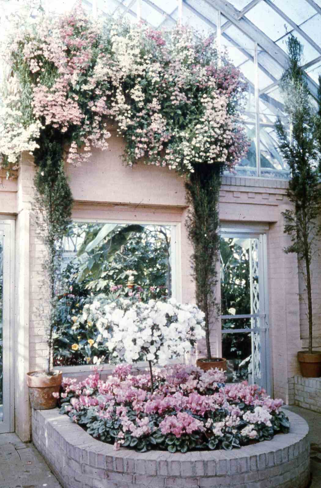 Spring Flower Show 1963