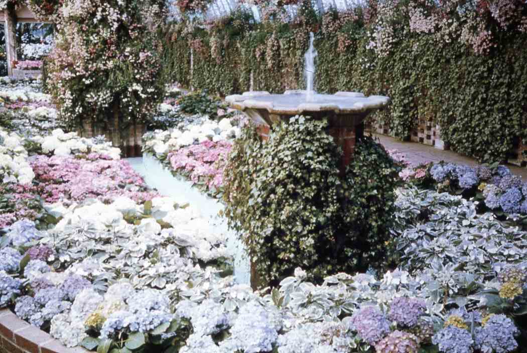 Spring Flower Show 1963