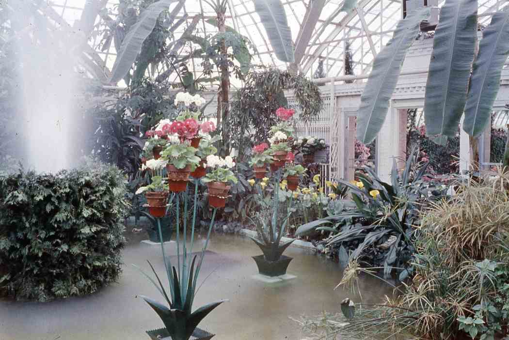 Spring Flower Show 1963