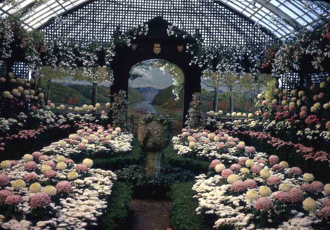 Fall Flower Show 1964