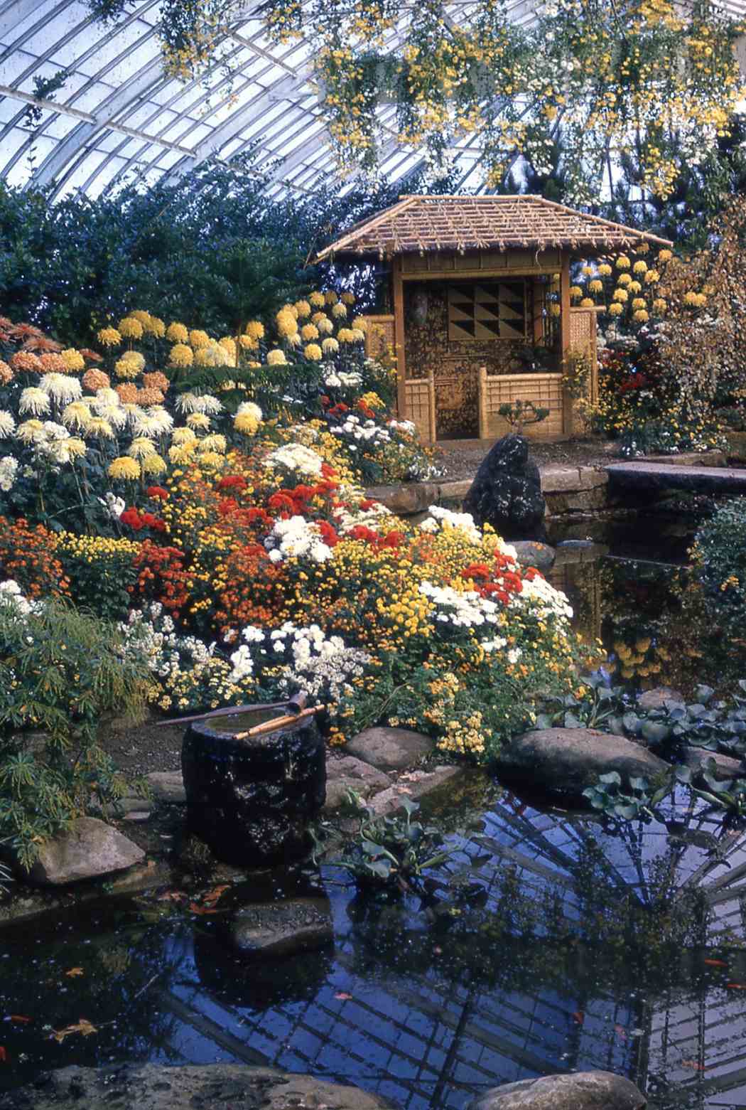 Fall Flower Show 1964