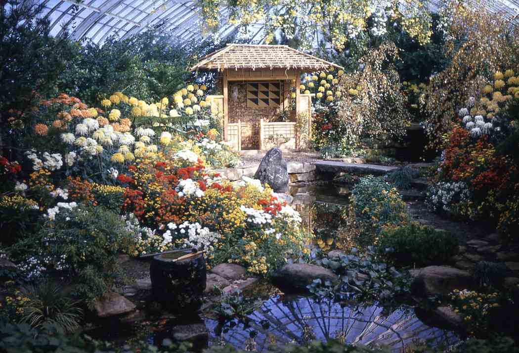 Fall Flower Show 1964